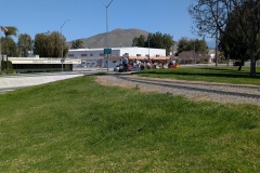 Run-Day_03-08-26_15