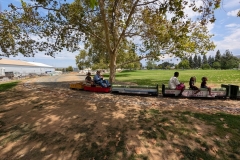 RD_08-08-26_033