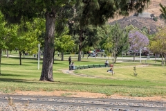 Spring-Meet_04-26-26_139