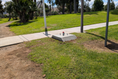 Spring-Meet-04-27-25_17