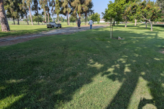 Track-Damage_7-11-25_19