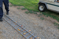 Track-Damage_7-11-25_40