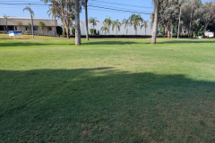 Track-Damage_7-11-25_49